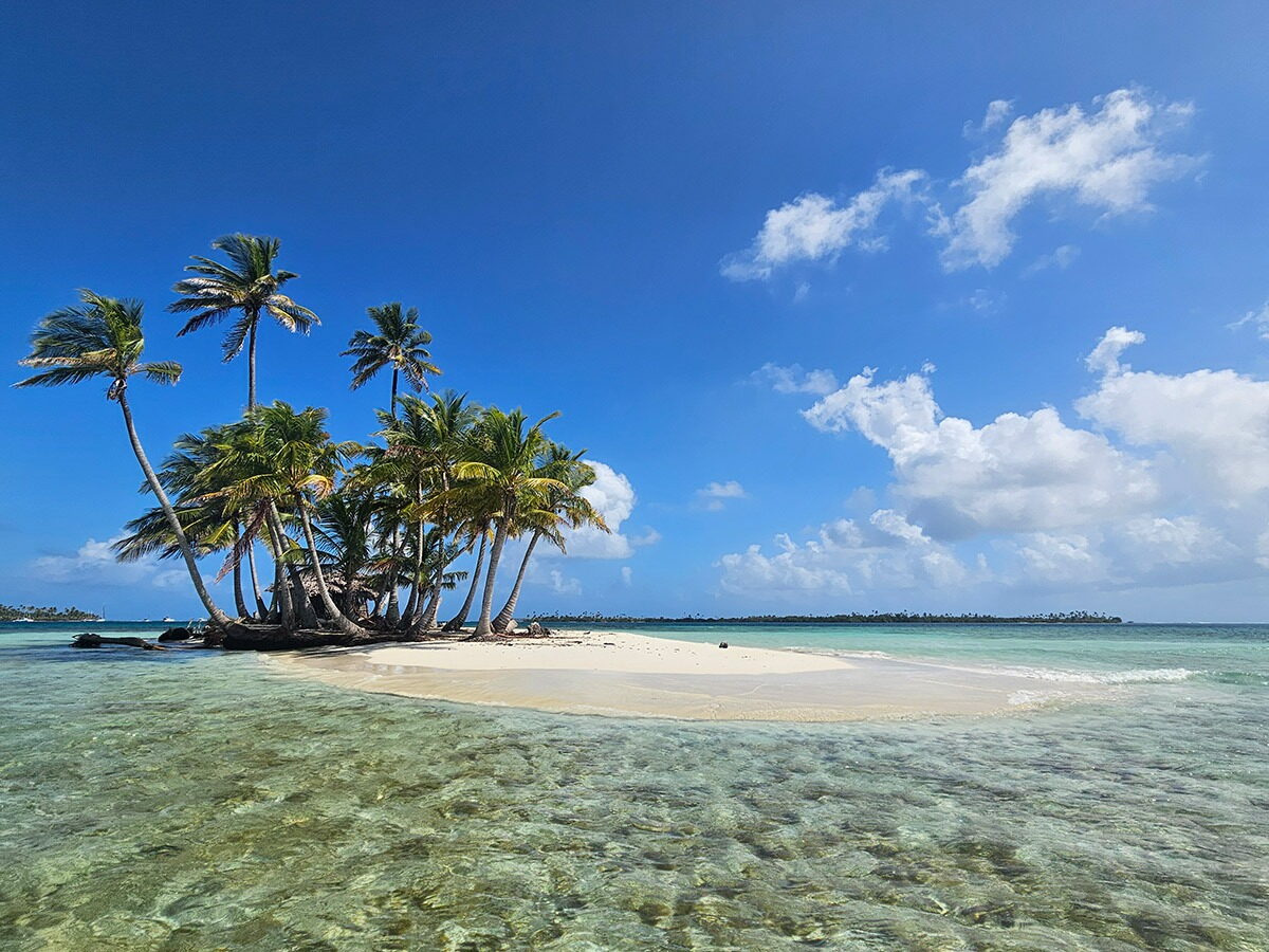 Palm-fringed island in San Blas